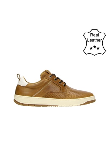 Bullboxer Leren sneakers cognackleurig