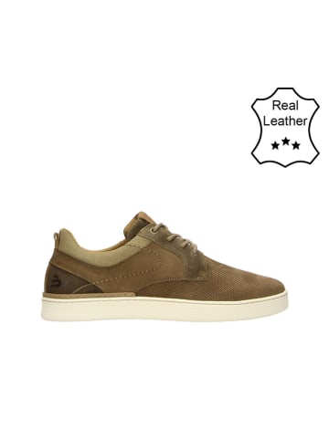 Bullboxer Leder-Sneakers in Braun