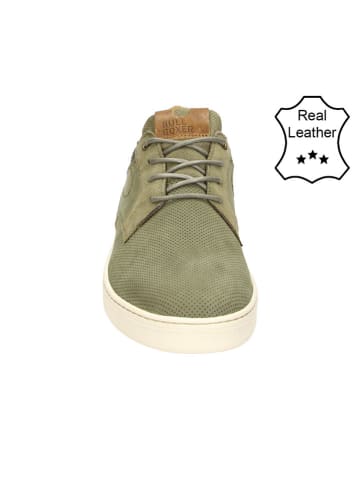Bullboxer Leder-Sneakers in Khaki