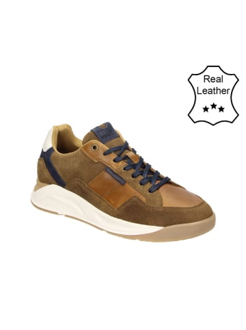 Bullboxer Leder-Sneakers in Cognac/ Dunkelblau