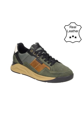 Bullboxer Leder-Sneakers in Khaki/ Hellbraun/ Schwarz