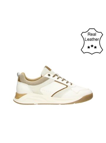 Bullboxer Leder-Sneakers in Weiß/ Beige