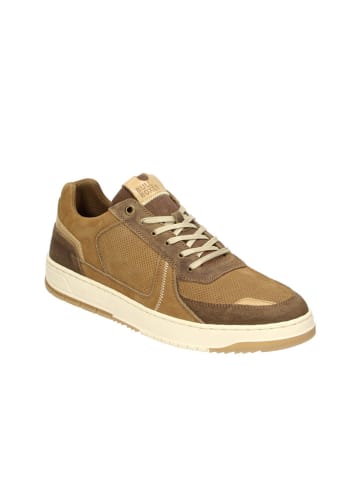 Bullboxer Leren sneakers cognackleurig
