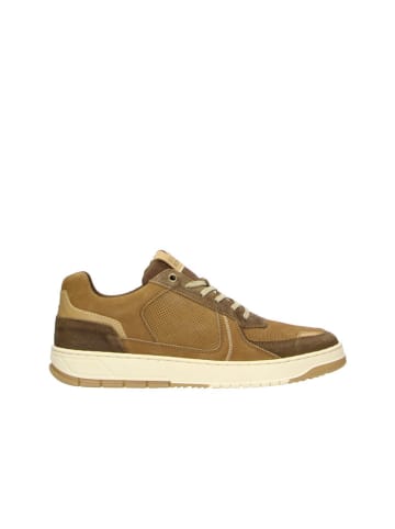 Bullboxer Leren sneakers cognackleurig