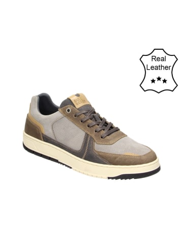 Bullboxer Leder-Sneakers in Grau/ Taupe