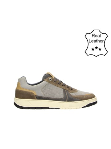Bullboxer Leder-Sneakers in Grau/ Taupe