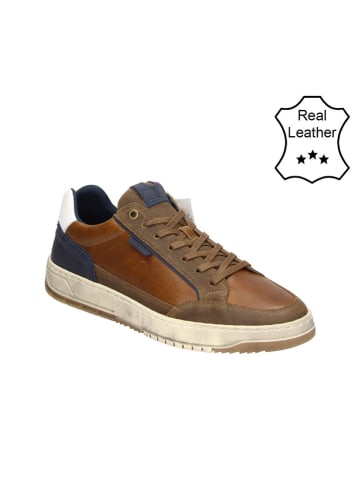 Bullboxer Leder-Sneakers in Cognac/ Dunkelblau
