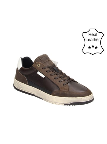 Bullboxer Leder-Sneakers in Braun