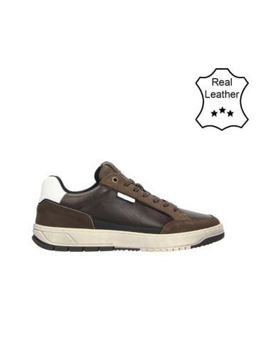 Bullboxer Skórzane sneakersy w kolorze brązowym