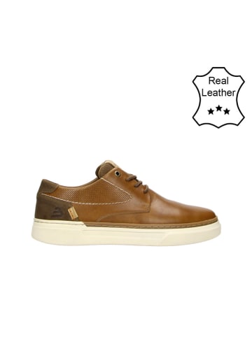 Bullboxer Leder-Sneakers in Cognac