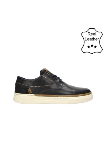 Bullboxer Leder-Sneakers in Dunkelblau
