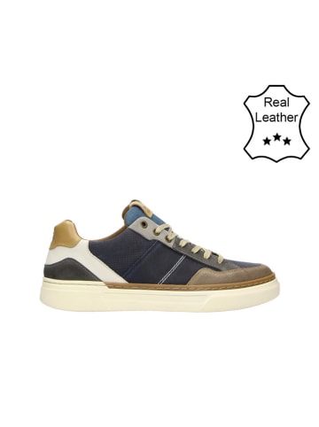 Bullboxer Leder-Sneakers in Dunkelblau/ Braun