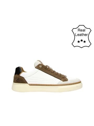 Bullboxer Leren sneakers wit/lichtbruin