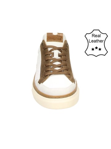 Bullboxer Leder-Sneakers in Weiß/ Hellbraun