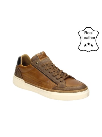 Bullboxer Leder-Sneakers in Cognac
