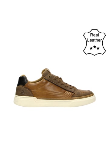 Bullboxer Leren sneakers cognackleurig