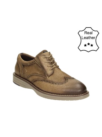 Bullboxer Leren veterschoenen taupe