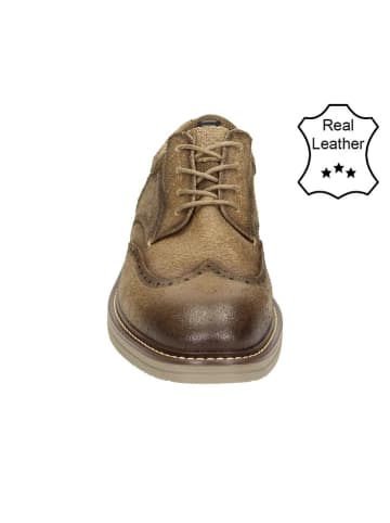 Bullboxer Leder-Schnürschuhe in Taupe