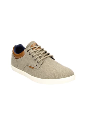 Bullboxer Sneakers in Beige