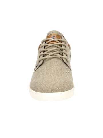 Bullboxer Sneakers in Beige
