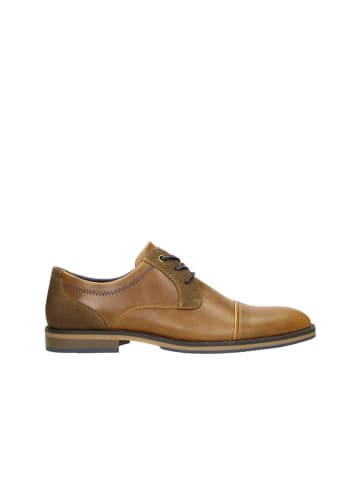 Bullboxer Schnürschuhe in Cognac