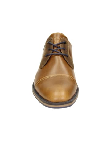 Bullboxer Schnürschuhe in Cognac