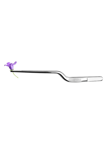 Ibili Szczypce kuchenne - dł. 21 cm