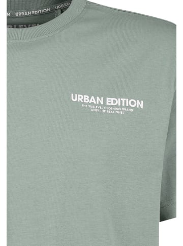 Sublevel Shirt in Mint