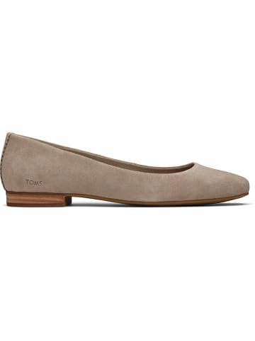TOMS allerinas in Braun