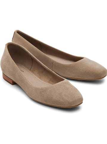 TOMS allerinas in Braun