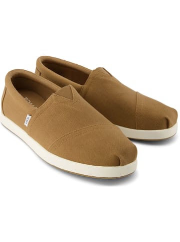 TOMS Slipper in Hellbraun
