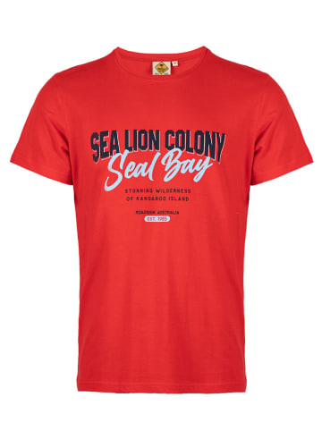 Roadsign Shirt in Rot