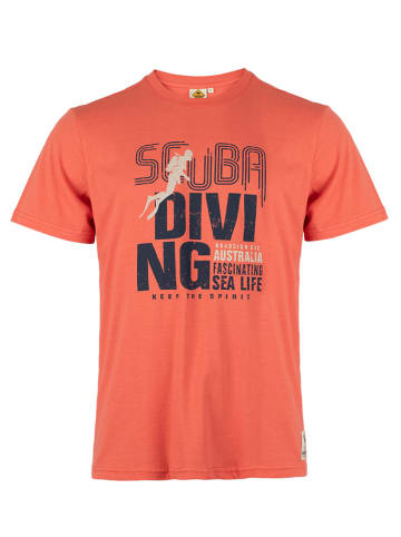 Roadsign Shirt in Orange