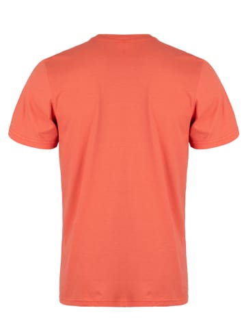Roadsign Shirt in Orange