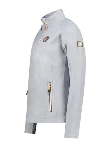 Geographical Norway Fleecepullover in Grau