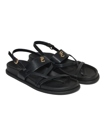 Polo Club Sandalen in Schwarz
