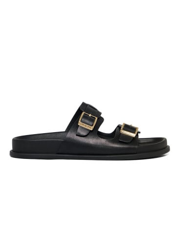 Polo Club Slippers zwart