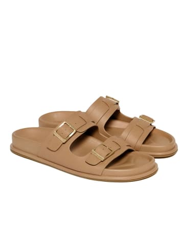 Polo Club Pantoletten in Beige