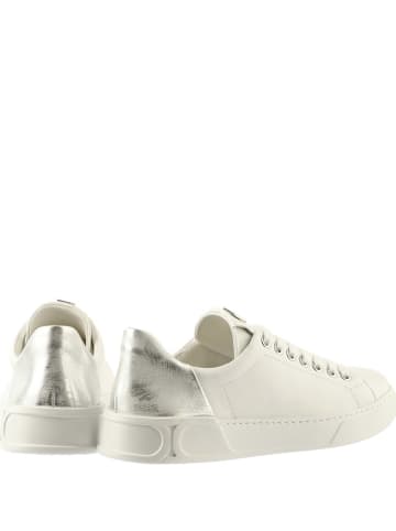 Högl Leder-Sneakers "Noa" in Weiß/ Silber