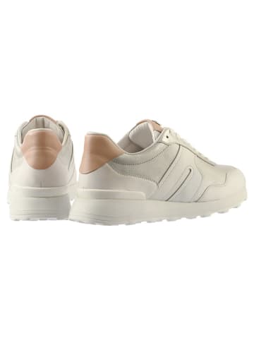 Högl Leder-Sneakers in Beige
