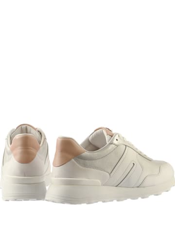 Högl Leren sneakers "Tony" wit/zilverkleurig