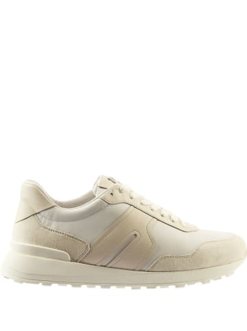 Högl Leder-Sneakers "Tony" in Creme/ Weiß
