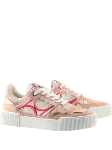 Högl Leren sneakers "Frankie" crème/lichtroze/goudkleurig