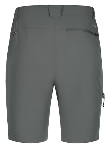 Icepeak Funktionsshorts in Grün