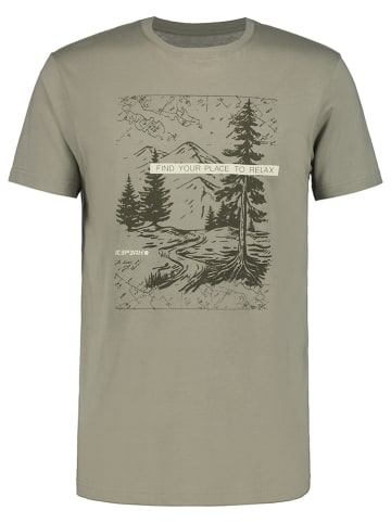 Icepeak Shirt in Grün