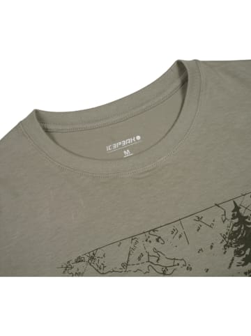 Icepeak Shirt in Grün