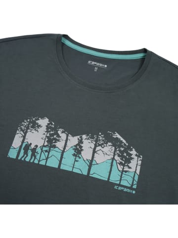 Icepeak Funktionsshirt in Dunkelgrün