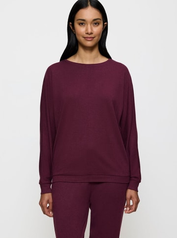 Triumph Sweatshirt in Bordeaux