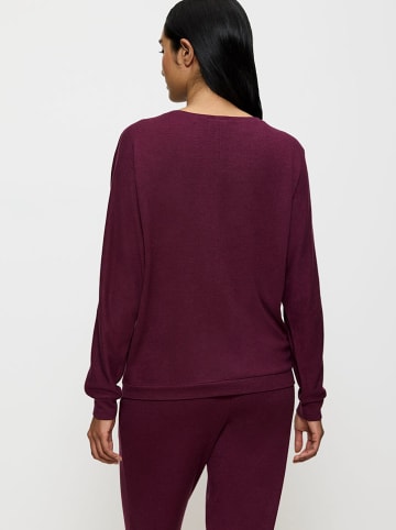 Triumph Sweatshirt in Bordeaux