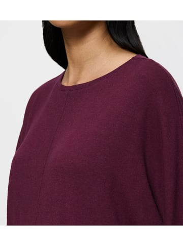 Triumph Sweatshirt in Bordeaux